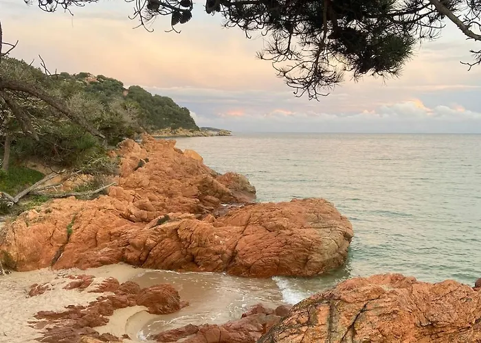 Mini Avec Jardin Cala Rossa - Porto Vecchio Lecci