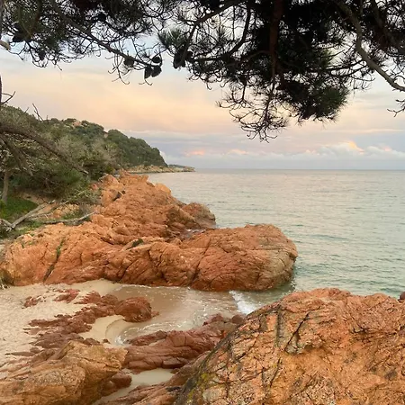 Mini Avec Jardin Cala Rossa - Porto Vecchio ليسي