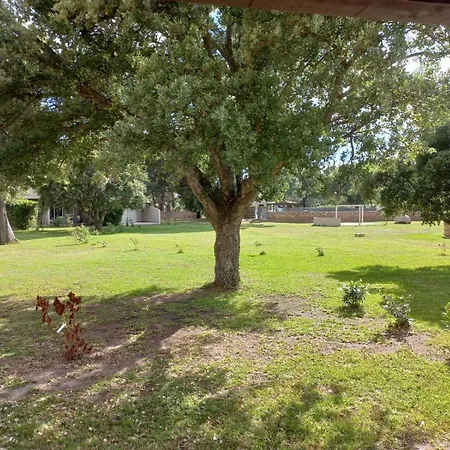 Holiday home Mini Avec Jardin Cala Rossa - Porto Vecchio Lecci