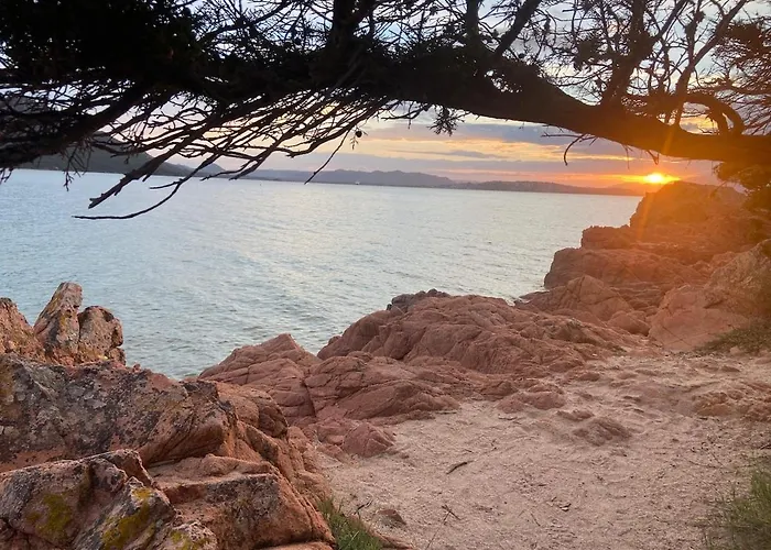 Mini Avec Jardin Cala Rossa - Porto Vecchio Prázdninový dům